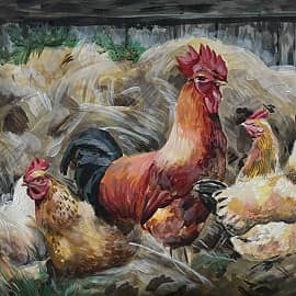 Петух и курицы