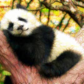 Животные 023