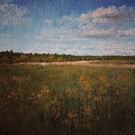 Поле родной стороны