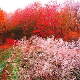 Приморозило.