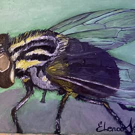 Муха в коричневом тренде