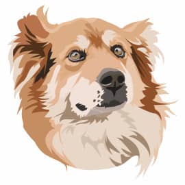 Digital портрет Роя