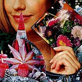 Осколок лета. Коллаж.