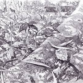 Лесной ковер