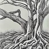 Корни. Скетч.