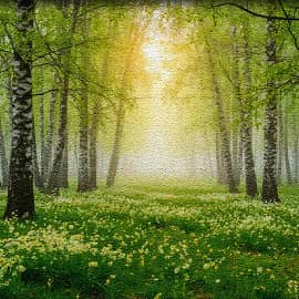 Я в весеннем лесу...