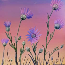 Бессмертники