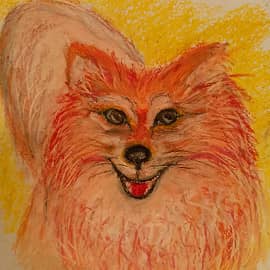 Любимый шпиц Алиска