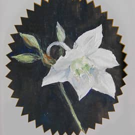 "Лилия на чёрном"