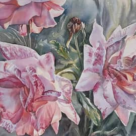 Розы в саду