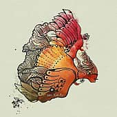 Сеяли ангелы