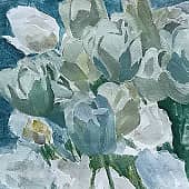 Мои тюльпанчики