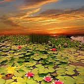 Закат на озере.