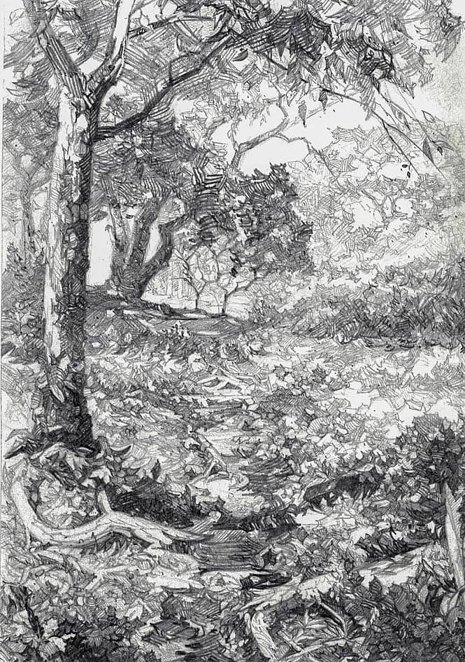 В тени деревьев