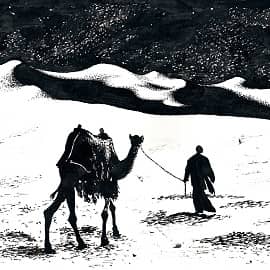 Путь в песках  Path in the Sands