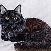 Котик Георгий