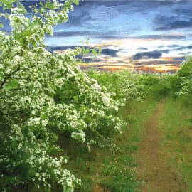 тропинка на закат