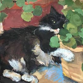 Кошка Лапка