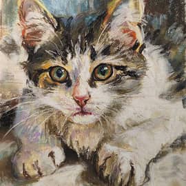 Кошачий взгляд