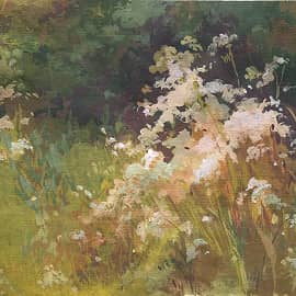 Поле. Цветы