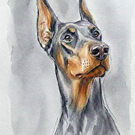 СОБАКАточкаРРР. Dog dot.