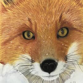 Рыжая красавица