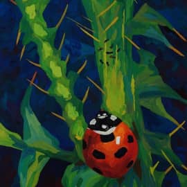 Божья коровка