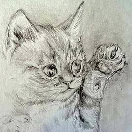 Цапки-царапки