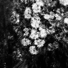 Цветы на окне