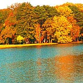 На солнечном берегу.