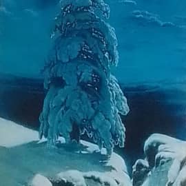 На севере диком (копия)