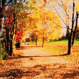 солнечные дни.2