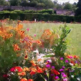 Танец цветов, в постановке ветра.