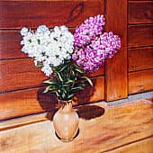 Флоксы на скамейке  Phlox on the Bench