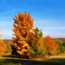 палитра осени