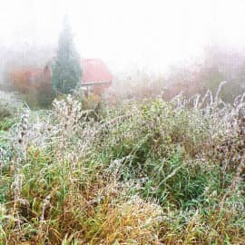 зимний туман.2