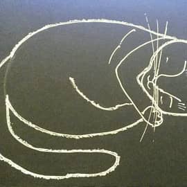 Сладкий сон