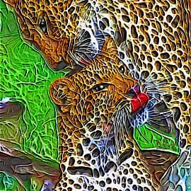 Леопардовая нежность