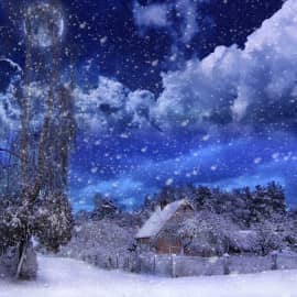 снежная ночь