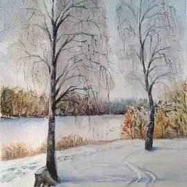 Зима. На лыжах. Копия