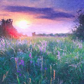 под вечерним солнцем