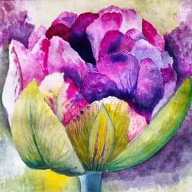 Вот такой тюльпан