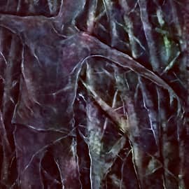 "Брачные игры лесничего"