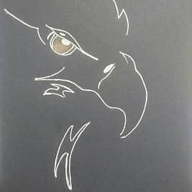 Я всё  вижу!