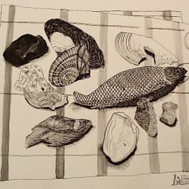 Натюрморт с рыбой и ракушками