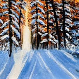 Морозное утро тайги