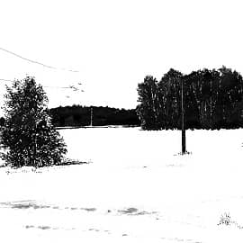 Среди зимы 8  Among the Winter 8