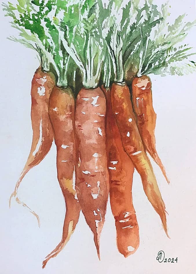 Акварель Морковка