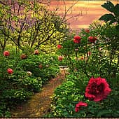 Пионы., художник Alex-08