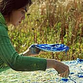 Картина Колоски любовь и вера Екатерина Лебедева художник (4), художник Екатерина Лебедева